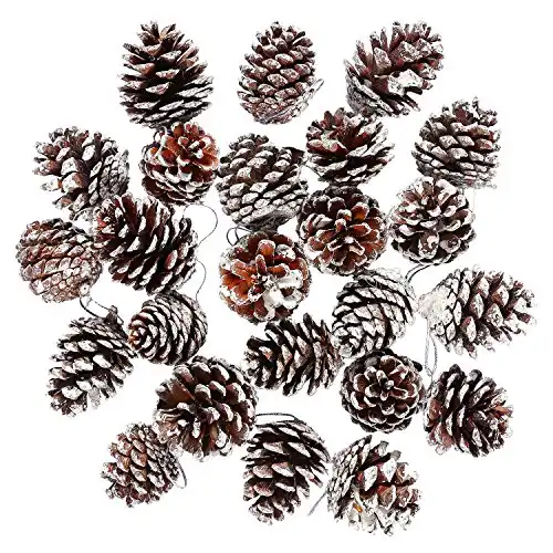 Cooraby 24 Pieces Christmas Pine Cones Ornament Natural PineCones with String Pendant Crafts for Gift Tag Christmas Tree Party Hanging Decoration (Snow)
